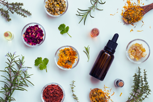 The Ultimate Guide to Essential Oils and Pets