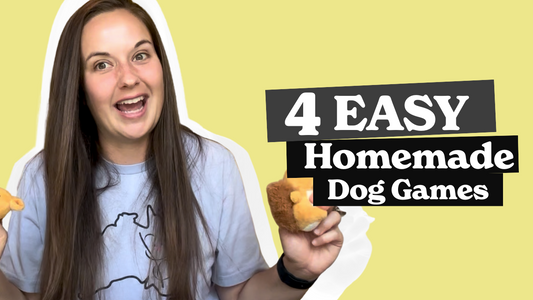 Pet Enrichment Video Series: "Dog Enrichment: 4 Fun and Easy DIY Activities"