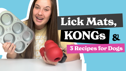 Pet Enrichment Video Series | "Dog Enrichment: Lick Mats, KONGs, and More"
