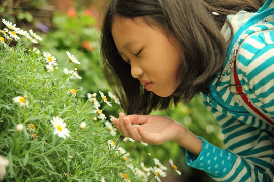 The Science of Smell