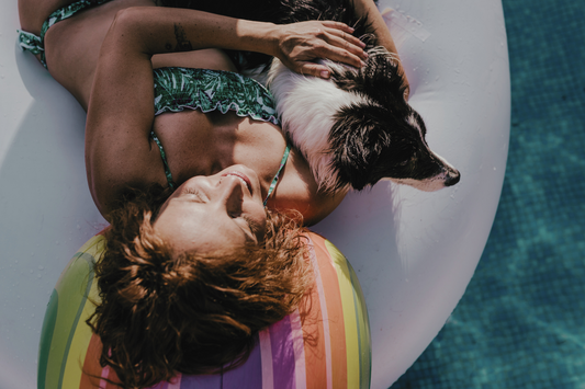 7 Sneaky Summer Hazards That Could Harm Your Pet