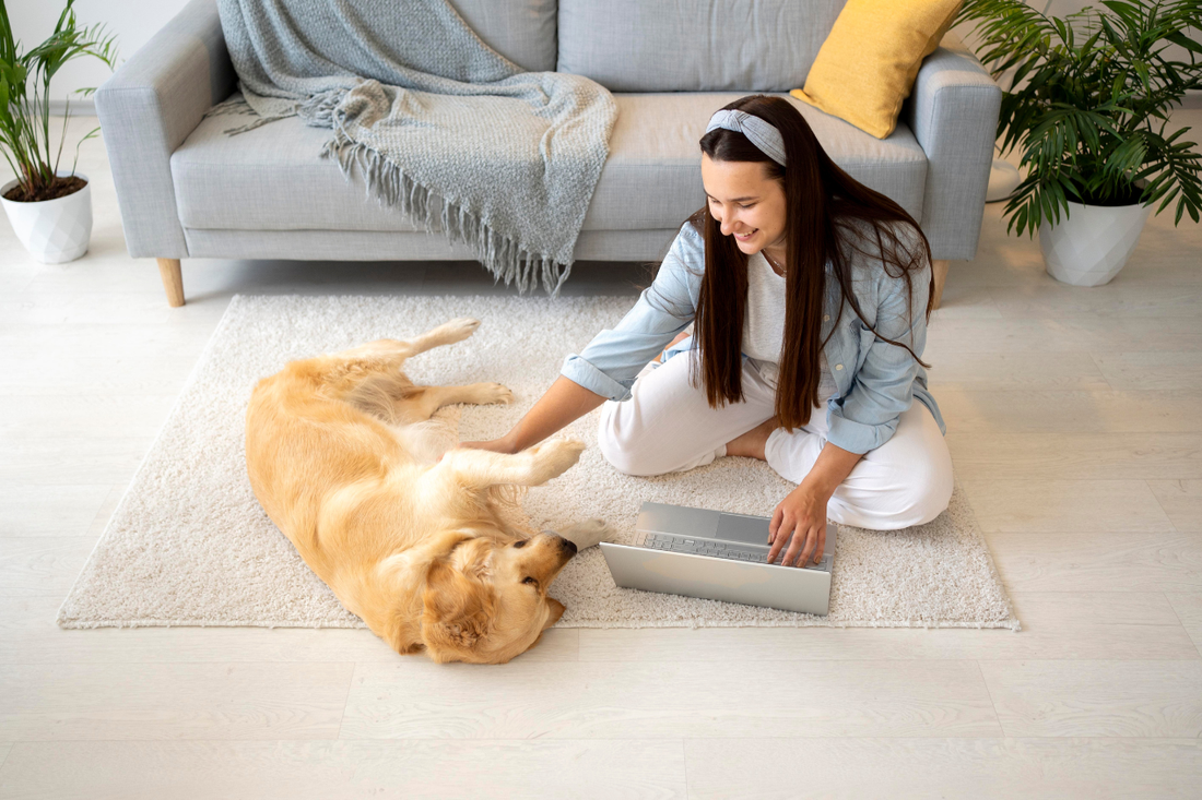 How Replacement Air Filters Keep Pet Homes Fresh