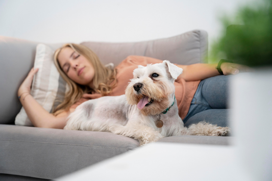 Best Air Filter for Pet Odor and Dander: Keep Your Home Fresh and Allergen-Free