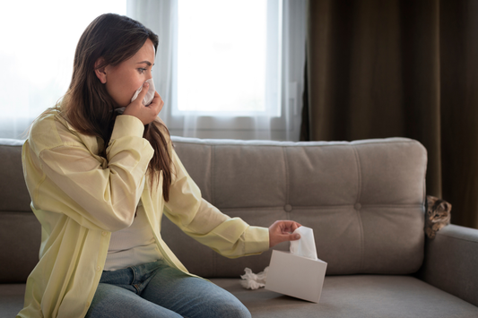Indoor Air Pollution Solutions: How to Eliminate Everyday Odors from Cooking and Cleaning