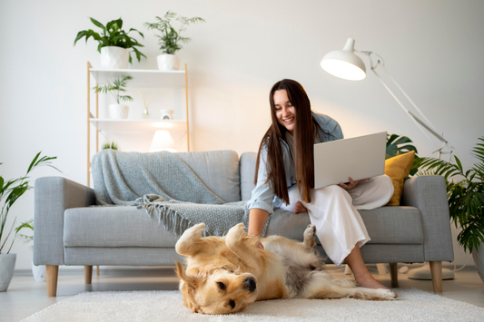 Stop Burning Candles for Your Dog: A Smarter Way to Keep Homes Fresh