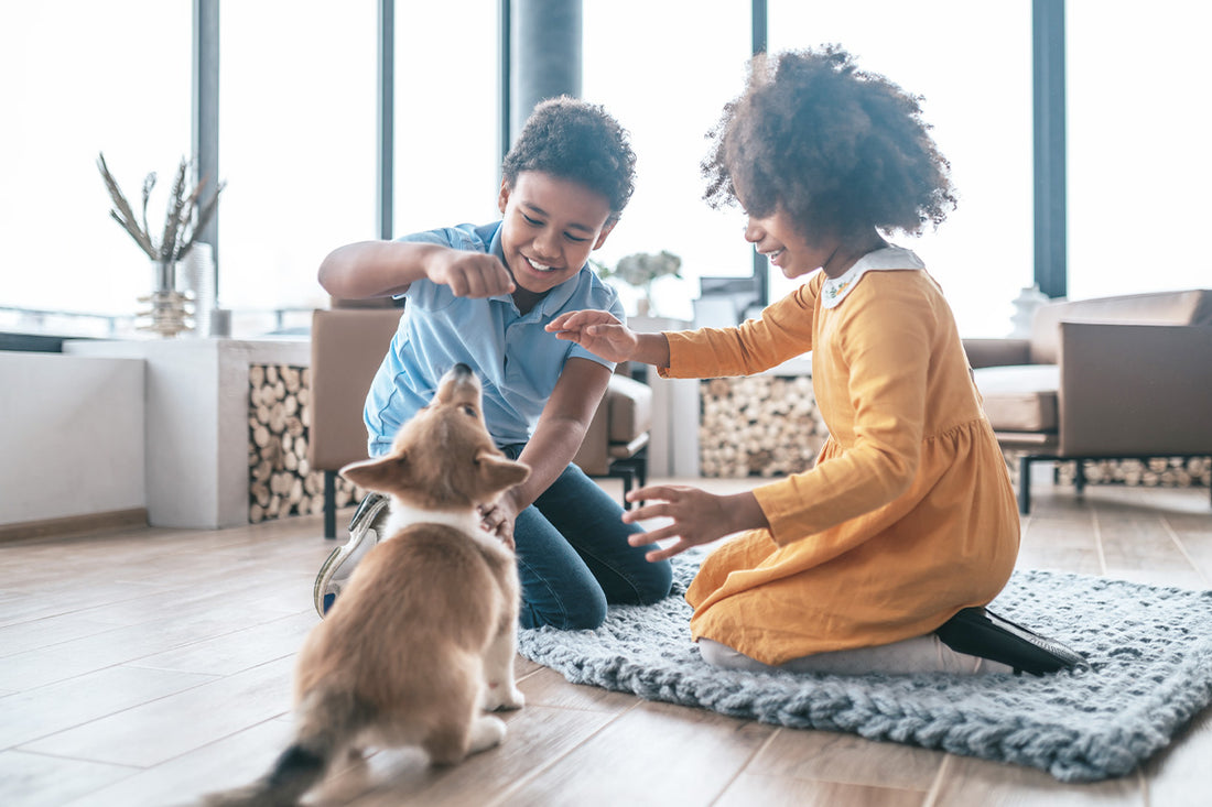 How to Test Air Quality in Your Home