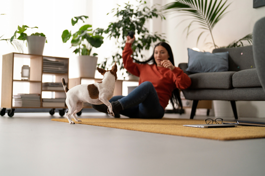 Cleaner Air, Healthier Homes: HVAC Filter Guide for Pet Owners