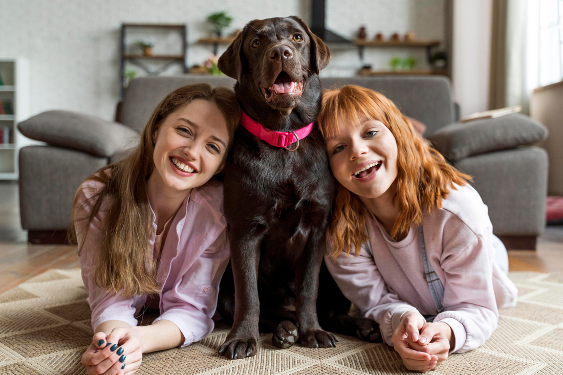 Keep Your Home Fresh with Pets: Simple Air Quality Tips