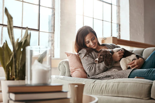 Missed Filters, Missed Air: The Hidden Cost of Forgetting Replacements