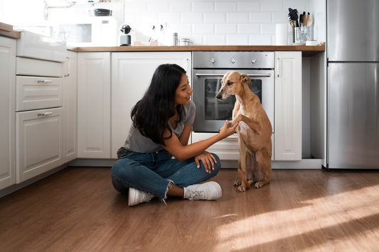 How to Make Your Home NASA-Grade Clean (Without Losing the Pet Cuddles)