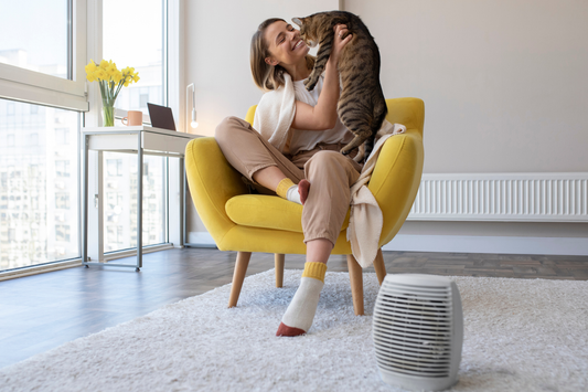 Air, Fur, Repeat: What Actually Happens When Pets and HVAC Systems Collide