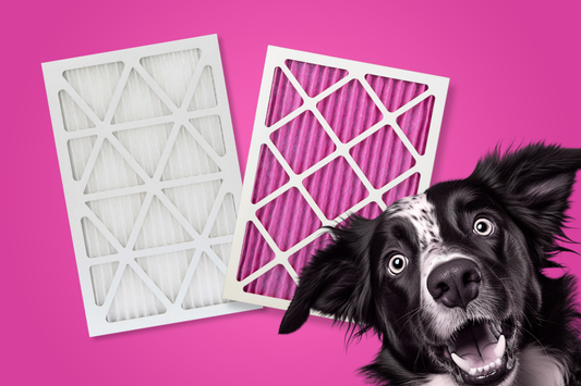 Air Filter FAQs: The Basics About What You Need to Know