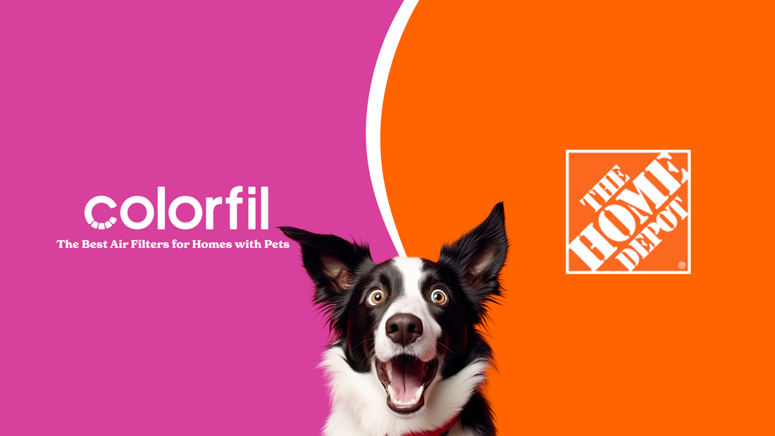 NEWS RELEASE: Colorfil Clears the Air With Home Depot Launch in 200+ Stores