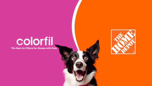 NEWS RELEASE: Colorfil Clears the Air With Home Depot Launch in 200+ Stores