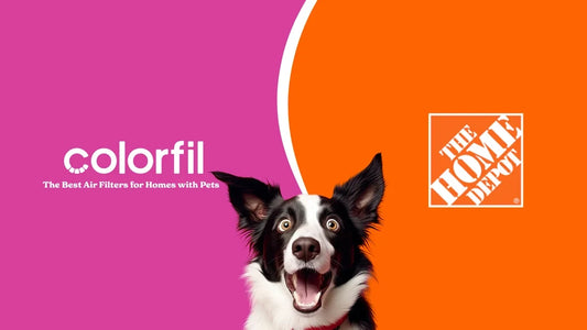 NEWS RELEASE: Colorfil Clears the Air With Home Depot Launch in 200+ Stores