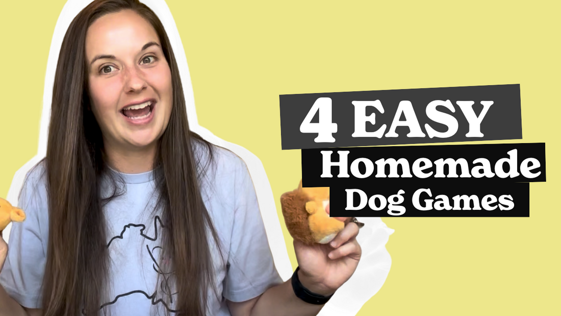 Pet Enrichment Video Series: "Dog Enrichment: 4 Fun and Easy DIY Activities"