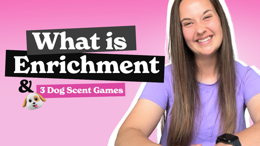 Pet Enrichment Video Series | "What is Enrichment?"