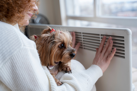 What's Hiding in Your HVAC System? Pet Owners Need to Know