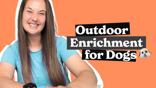 Pet Enrichment Video Series: "Dog Enrichment: 4 Fun and Active Outdoor Activities"