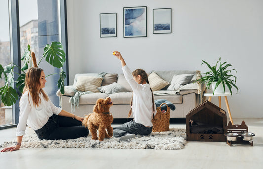 The Hidden Pollutants Every Pet Owner Should Know About