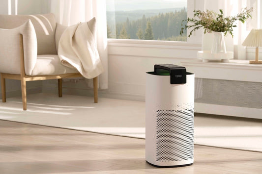 The 5 Reasons Why You Don't Need an Air Purifier