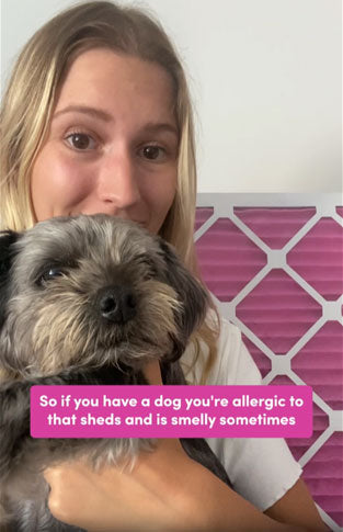 Customer holding their pet next to a Colorfil air filter